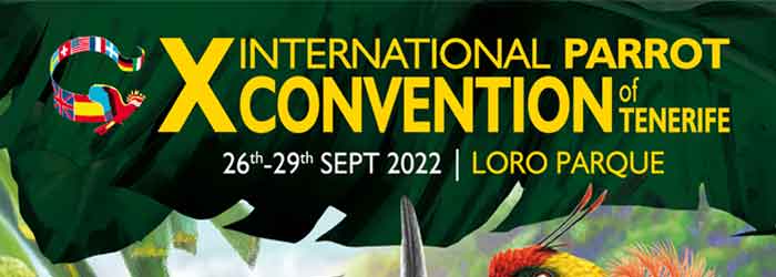 International Convention Tenerife