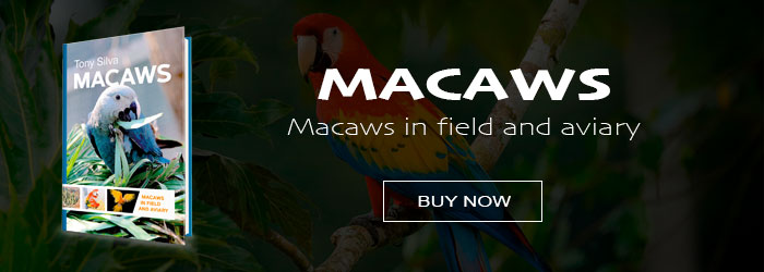 Macaws - Buy the book