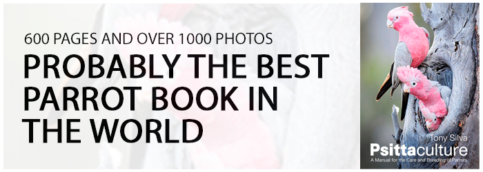 Probably the best parrot book in the world
